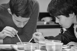 students doing a science experiment