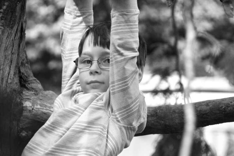 kid playing on tree